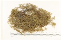 登錄號:B00016708藏品圖，第1張