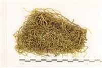 登錄號:B00016922藏品圖，第1張