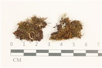 登錄號:B00016941藏品圖，第1張