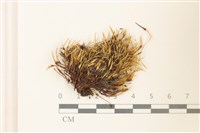 登錄號:B00016962藏品圖，第1張