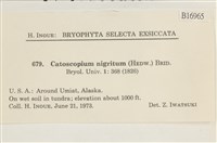 登錄號:B00016965藏品圖，第2張