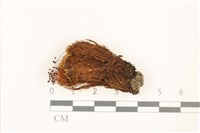 登錄號:B00016965藏品圖，第1張