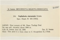 登錄號:B00016967藏品圖，第2張