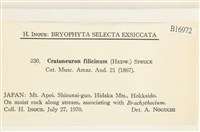 登錄號:B00016972藏品圖，第2張