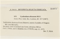 登錄號:B00016973藏品圖，第2張