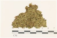 登錄號:B00016973藏品圖，第1張