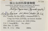 柳葉蘚藏品圖，第2張