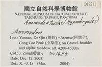 登錄號:B00017211藏品圖，第2張