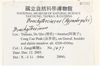 登錄號:B00017212藏品圖，第2張