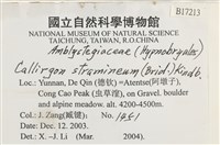 草黃濕原蘚藏品圖，第2張