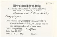 登錄號:B00017216藏品圖，第2張