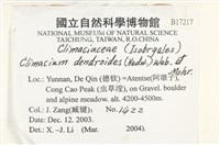 登錄號:B00017217藏品圖，第2張
