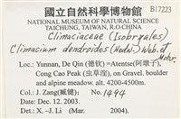 登錄號:B00017223藏品圖，第2張