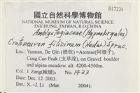 登錄號:B00017224藏品圖，第2張