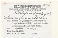 登錄號:B00017226藏品圖，第2張