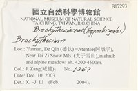 登錄號:B00017293藏品圖，第2張