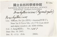 登錄號:B00017294藏品圖，第2張