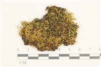 登錄號:B00017296藏品圖，第1張