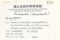 登錄號:B00017297藏品圖，第2張