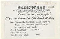 登錄號:B00017302藏品圖，第2張