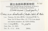 登錄號:B00017307藏品圖，第2張