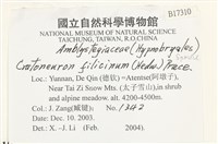 登錄號:B00017310藏品圖，第2張