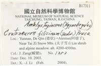 登錄號:B00017311藏品圖，第2張