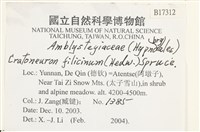 登錄號:B00017312藏品圖，第2張
