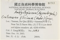 登錄號:B00017313藏品圖，第2張