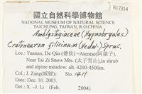 登錄號:B00017314藏品圖，第2張