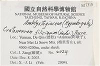 登錄號:B00017315藏品圖，第2張