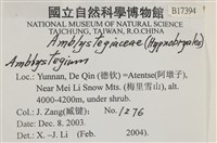 登錄號:B00017394藏品圖，第2張