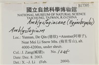 登錄號:B00017395藏品圖，第2張