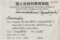 登錄號:B00017397藏品圖，第2張