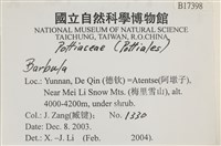 登錄號:B00017398藏品圖，第2張