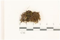 登錄號:B00017398藏品圖，第1張