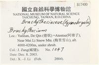 登錄號:B00017400藏品圖，第2張