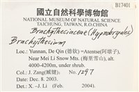 登錄號:B00017401藏品圖，第2張