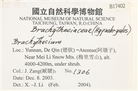 登錄號:B00017402藏品圖，第2張