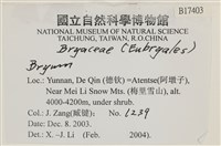 登錄號:B00017403藏品圖，第2張