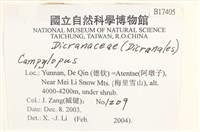登錄號:B00017405藏品圖，第2張