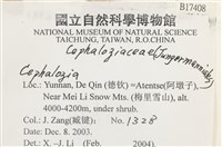 登錄號:B00017408藏品圖，第2張