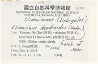登錄號:B00017411藏品圖，第2張