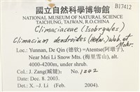 登錄號:B00017412藏品圖，第2張
