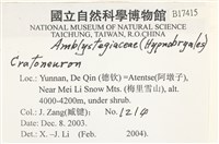 登錄號:B00017415藏品圖，第2張