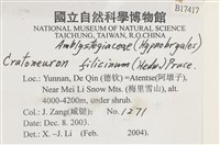 登錄號:B00017417藏品圖，第2張