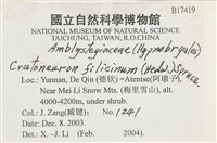 登錄號:B00017419藏品圖，第2張
