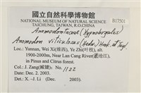 登錄號:B00017501藏品圖，第2張