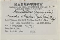 登錄號:B00017502藏品圖，第2張