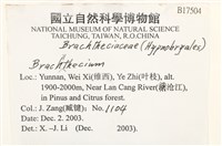 登錄號:B00017504藏品圖，第2張